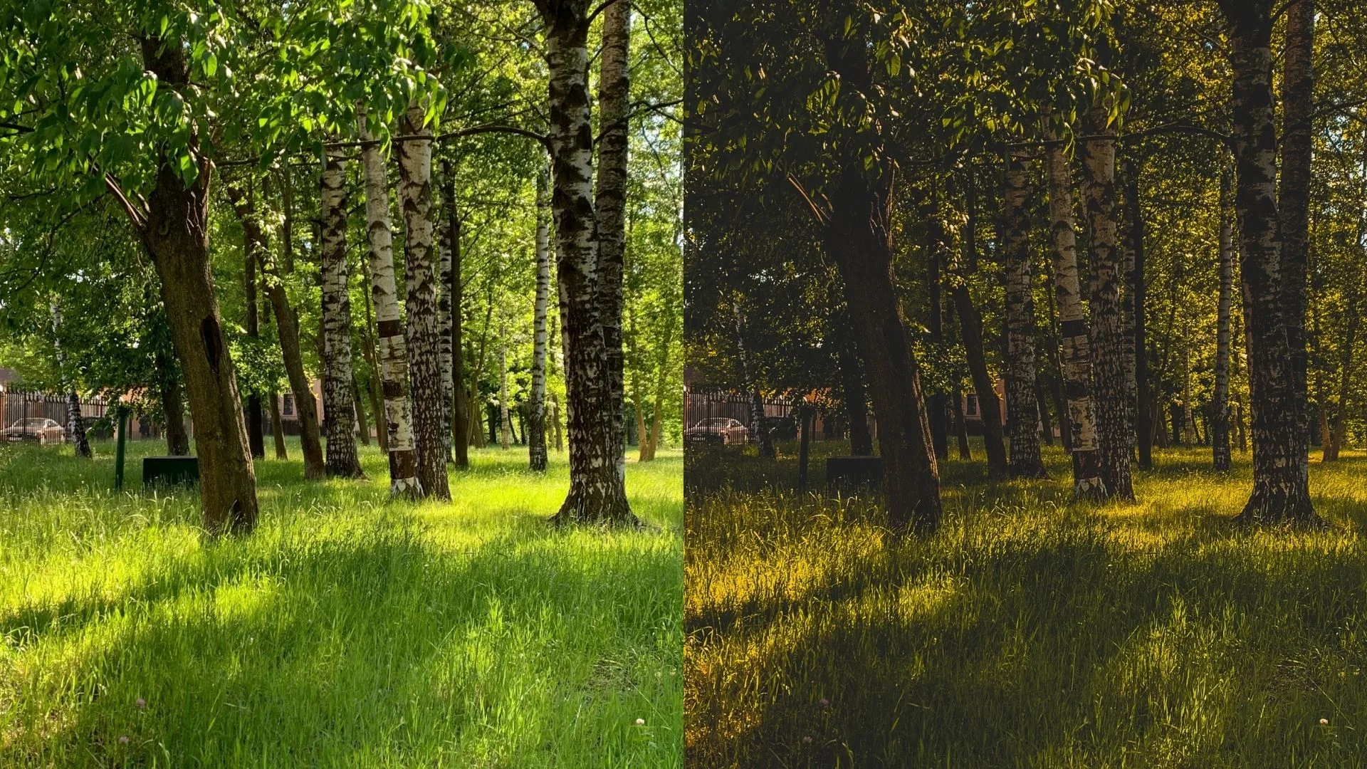 Темный пресет для camera raw